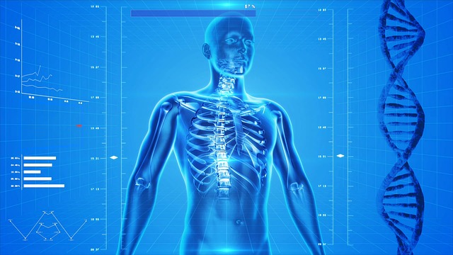 Menschliches Skelett und DNA auf blauem Hintergrund